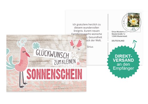 Glückwunschkarte zur Geburt Vögel Weiß 148x105mm