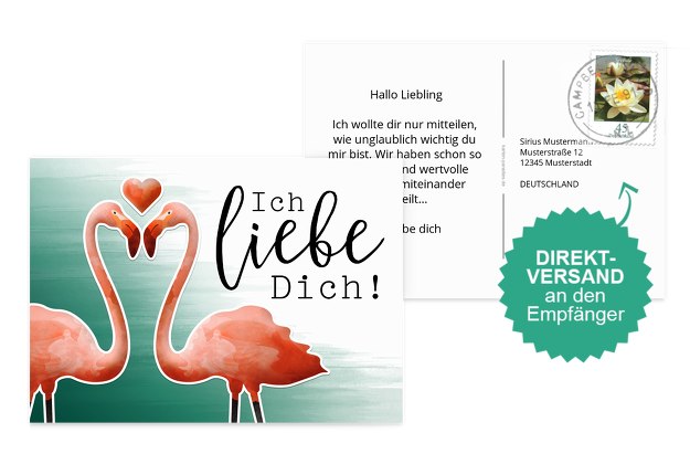 Spruchkare Flamingo